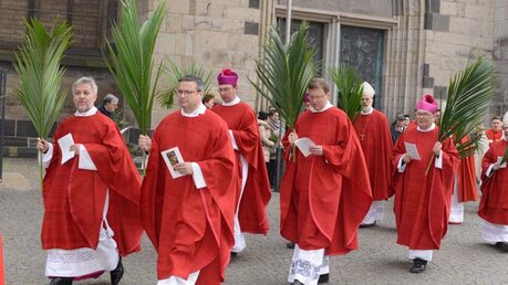 Die liturgische Farbe des Palmsonntags ist rot / © Beatrice Tomasetti (DR)
