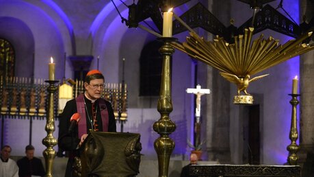 Die Schritte auf einen Weg des Friedens zu lenken, empfiehlt der Kölner Erzbischof. / © Beatrice Tomasetti (DR)
