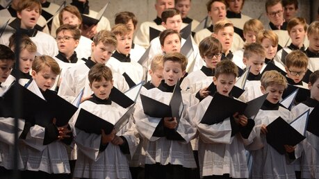 An diesem Sonntag stand die Missa brevis in G von Josef Rheinberger auf dem Programm des Domchores. / © Beatrice Tomasetti (DR)