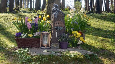 Ein mit Frühlingsblumen geschmücktes Grab. / © Beatrice Tomasetti (DR)