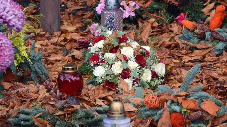 Ein Sinnbild für blühendes und sterbendes Leben: Rosen und Herbstlaub.    / © Beatrice Tomasetti (DR)