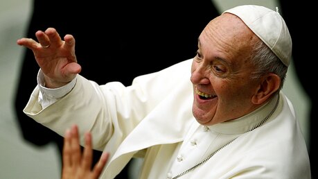 Er freut sich sichtlich: Papst Franziskus grüßt die Pfadfinder / © Yara Nardi (Reuters)