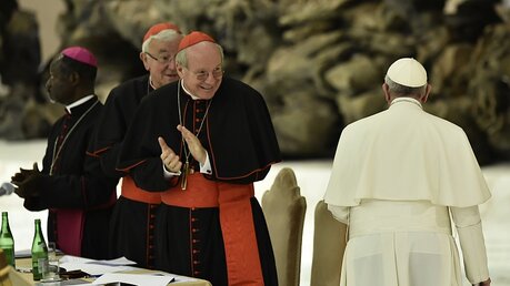 Kardinal Schönborn und Papst Franziskus / © Cristian Gennari (KNA)