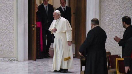 Generaulaudienz mit Papst Franziskus / © Alessandra Tarantino (dpa)