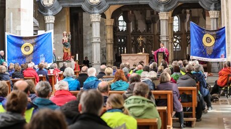 Generalvikar Dr. Markus Hofmann predigt während der Wallfahrermesse in St. Maria im Kapitol / © Schoon / Erzbistum Köln (DR)