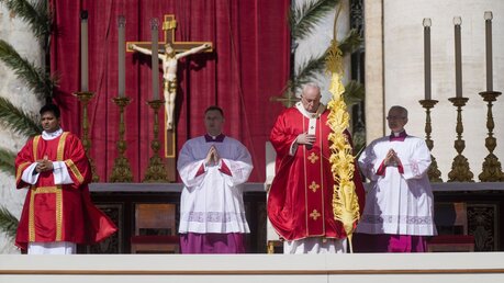 Papst Franziskus zelebriert die Palmsonntagsmesse auf dem Petersplatz im Vatikan / © Gregorio Borgia/AP (dpa)