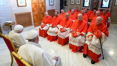 Die neu ernannten Kardinäle besuchen nach dem Konsistorium am 27. August 2022 mit Papst Franziskus den emeritierten Papst Benedikt XVI. im Vatikan / © Romano Siciliani (KNA)