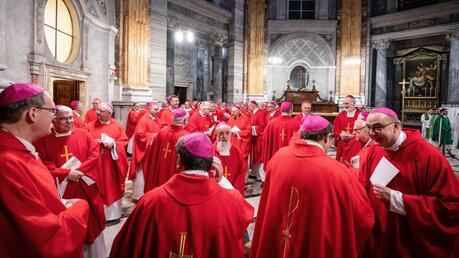  Ad-limina-Besuch deutscher Bischöfe
 / © Cristian Gennari/Romano Siciliani (KNA)
