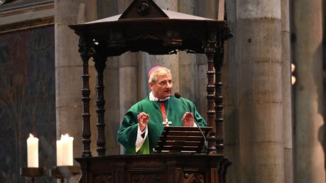Weihbischof Dominik Schwaderlapp bei der Predigt / © Beatrice Tomasetti (DR)