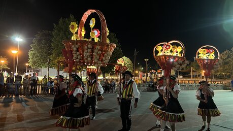 Festival der Kulturen im Bistum Aveiro / © Elena Hong (DR)