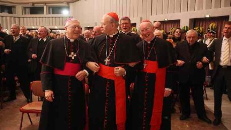Festakt zum 75. Geburtstag von Kardinal Meisner 9 / © Robert Boecker (DR)