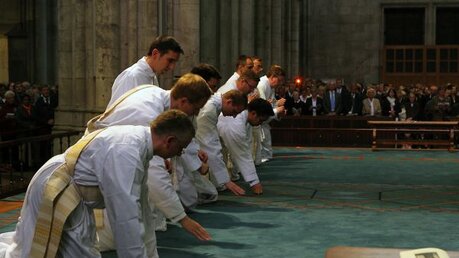 Priesterweihe im Kölner Dom 2011 4 / © Robert Boecker (DR)