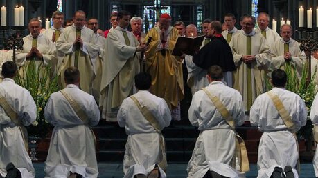 Priesterweihe im Kölner Dom 2011 8 / © Robert Boecker (DR)