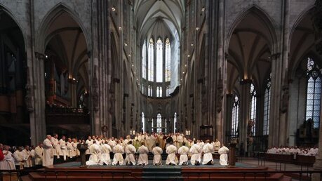 Priesterweihe im Kölner Dom 2011 19 / © Robert Boecker (DR)