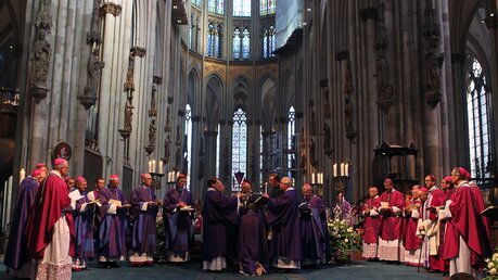 Die Bischofsweihe von Weihbischof Dominikus Schwaderlapp 10 / © Robert Boecker (DR)