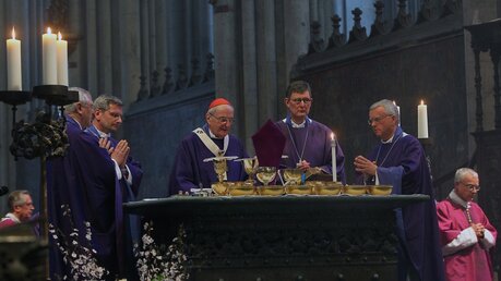 Die Bischofsweihe von Weihbischof Dominikus Schwaderlapp 14 / © Robert Boecker (DR)