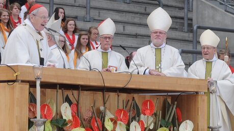 Kardinal Meisner beim Eucharistischen Kongress (2013) / © Tomasetti (DR)
