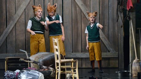 Kinderoper "Der Fuchs, der den Verstand verlor" / © Beatrice Tomasetti (DR)