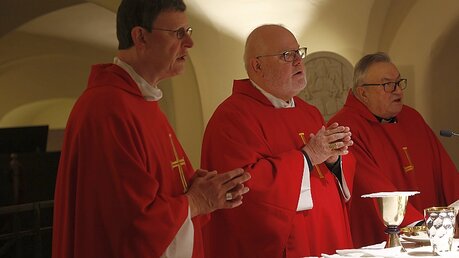 Kardinäle Woelki, Marx und Lehmann am Petrusgrab / © Romano Siciliani (KNA)