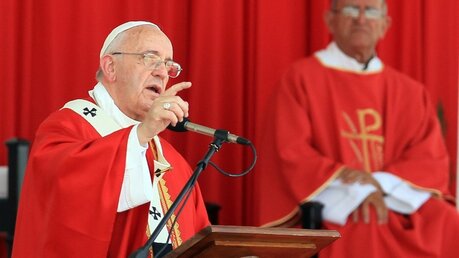 Papst Franziskus spricht zu den Gläubigen (dpa)