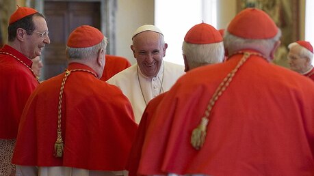 Papst Franziskus mit Bischöfen beim Konsistorium / © Osservatore Romano / Handout (dpa)