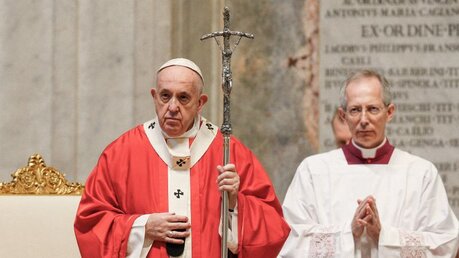 Palmsonntag mit Papst Franziskus / © Paul Haring (KNA)