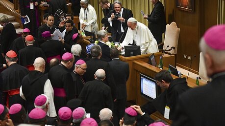 Papst Franziskus begrüßt einen Teilnehmer bei einem Gipfeltreffen zum Thema Missbrauch.  / © Papst Franziskus (r) begrüßt einen Teilnehmer bei einem Gipfeltreffen zum Thema Missbrauch.  (dpa)