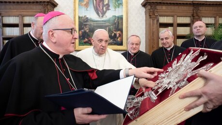 Papst Franziskus empfängt Bischöfe aus Tschechien zu einem Ad-limina-Besuch. / © Vatican Media/Romano Siciliani (KNA)