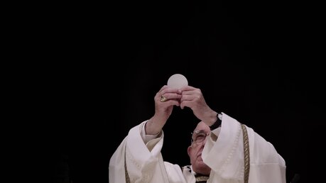 Papst Franziskus feiert die Offenbarungsmesse im Petersdom anlässlich des Dreikönigsfestes. / © Evandro Inetti (dpa)