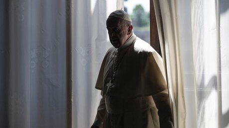Papst Franziskus im Schatten / © Vatican Media/Romano Siciliani (KNA)