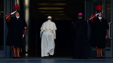 Papst Franziskus kommt zum Gipfeltreffen zum Thema Missbrauch / © Evandro Inetti (dpa)