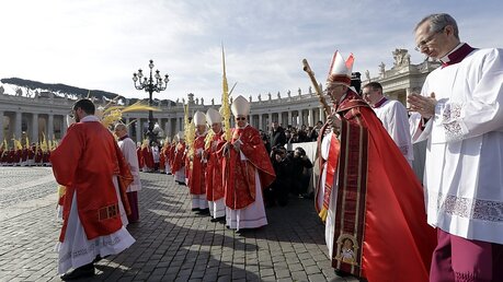 Vatikan: Papst Franziskus kommt zur Palmsonntagsmesse auf den Petersplatz / © Andrew Medichini (dpa)