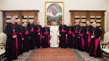 Papst Franziskus mit US-Bischöfen / © Paul Haring (KNA)