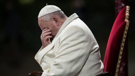 Papst Franziskus / © giulio napolitano (shutterstock)