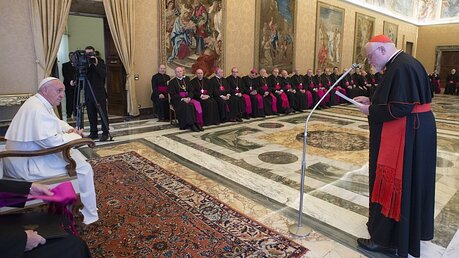 Kardinal Marx spricht zu Franziskus / © Osservatore Romano (KNA)