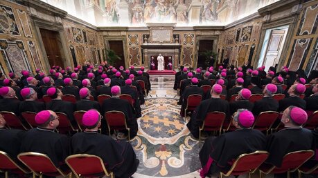 Neue Bischöfe treffen Franziskus / © Osservatore Romano (dpa)