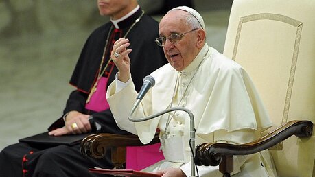 Papst Franziskus bei der Audienz am 17.09.15 / © Giorgio Onorati (dpa)
