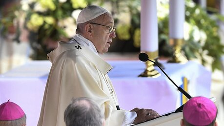 "Auch Verwandte und Freunde können Heilige sein", sagt der Papst / © Ettore Ferrari (dpa)