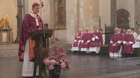 Predigt von Kardinal Woelki / © Boecker