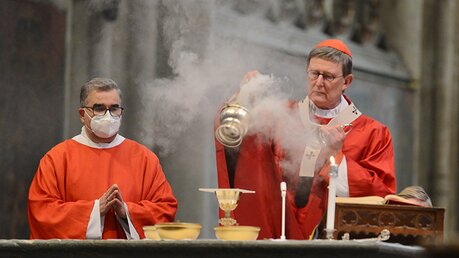 Eindrücke vom Pontifikalamt am Palmsonntag mit Erzbischof Woelki / © Beatrice Tomasetti (DR)
