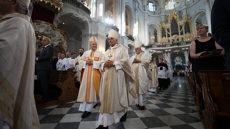 Heinrich Timmerevers ist neuer Bischof von Dresden-Meißen / © Arno Burgi (dpa)