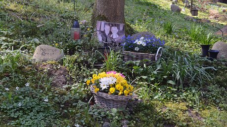 Trauernde dürfen in den "Gärten der Bestattung" das Grab ihrer Liebsten nach eigenen Vorstellungen gestalten. / © Beatrice Tomasetti (DR)