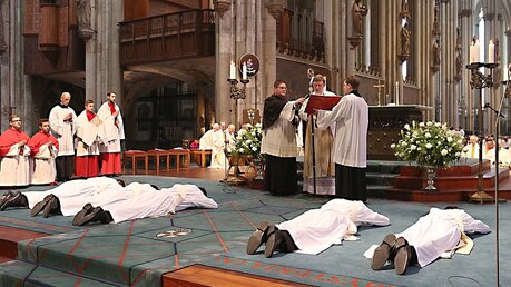 Priesterweihe im Kölner Dom / © Boecker