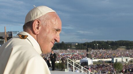 Ein Schmetterling sucht die Nähe des Papstes / © Osservatore Romano (dpa)