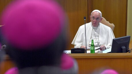 Papst am Mikrofon / © Ettore Ferrari (dpa)