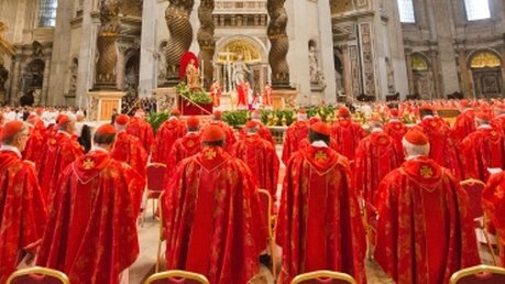 Das Kardinalskollegium wächst auf 218 Mitglieder (dpa)