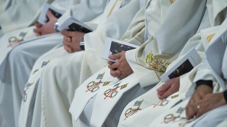 Priester in der Heiligen Messe / © Stefano Carofei/Romano Siciliani (KNA)