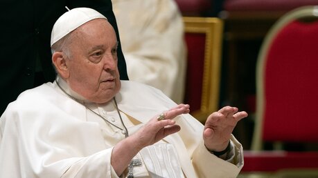 Papst Franziskus spendet einen Segen  / © Alessia Giuliani/CPP (KNA)