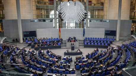 Blick in den Plenarsaal im Deutschen Bundestag / © Michael Kappeler (dpa)