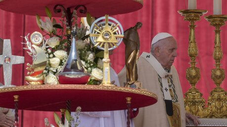 Papst Franziskus geht an den Reliquien von neun neuen Heiligen vorbei / © Gregorio Borgia (dpa)
